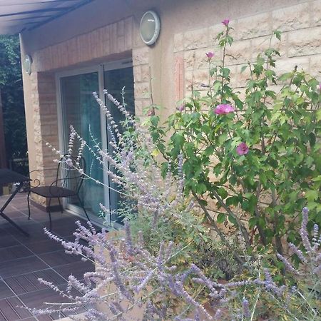 La Villa Des Violettes Toulouse Kültér fotó