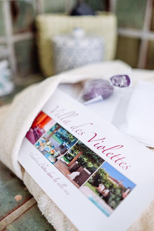 La Villa Des Violettes Toulouse Kültér fotó