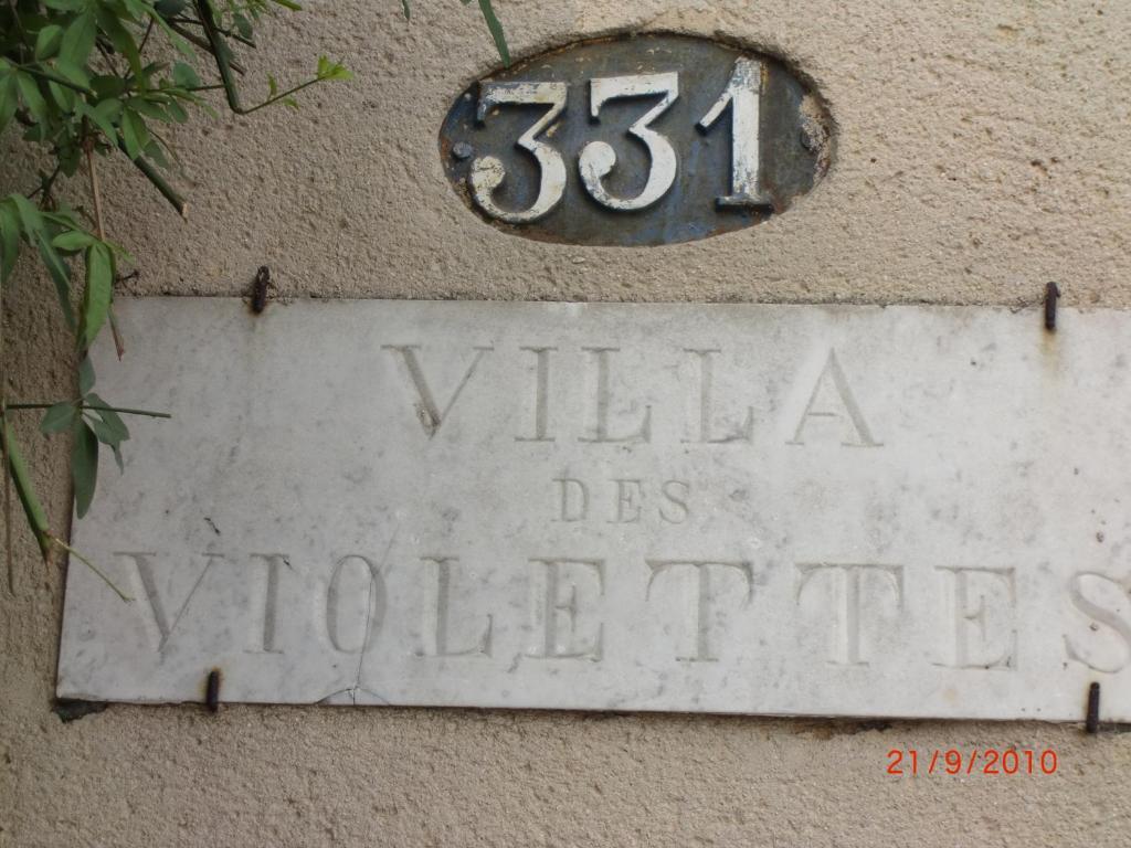 La Villa Des Violettes Toulouse Kültér fotó
